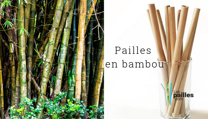Paille en bambou