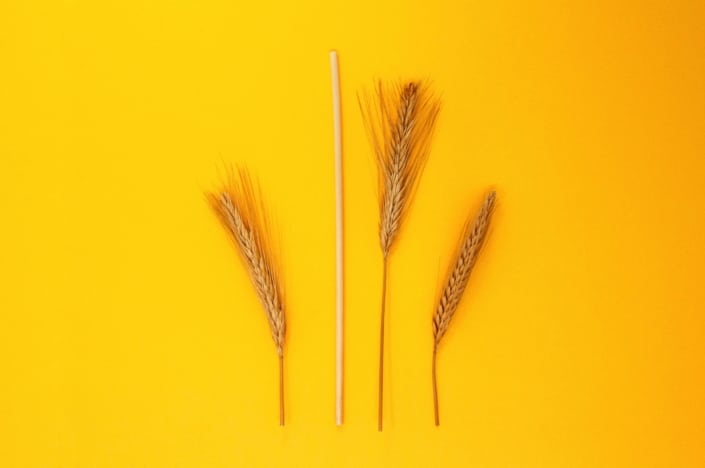 Pailles en paille blé