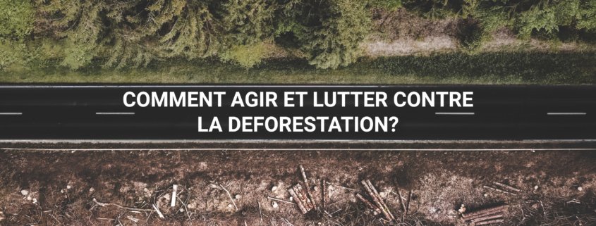 Deforestation : comment agir ?