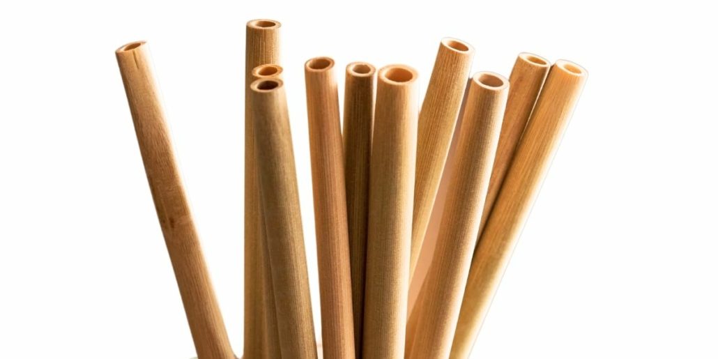 Pailles en bois plante de tige de bambou
